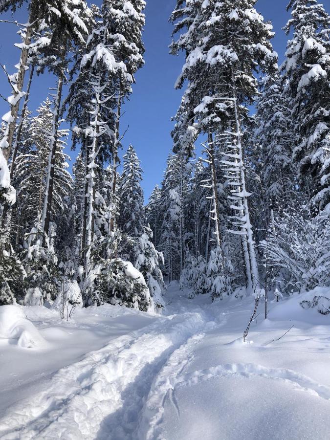Schwarzwaldblick Διαμέρισμα Sankt Georgen im Schwarzwald Εξωτερικό φωτογραφία